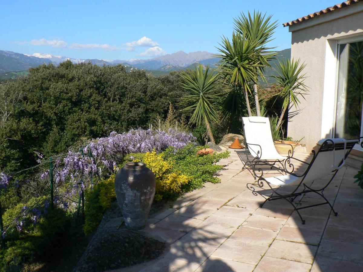 Chambre D'Hote Casa Tozza Porticcio  Exterior photo